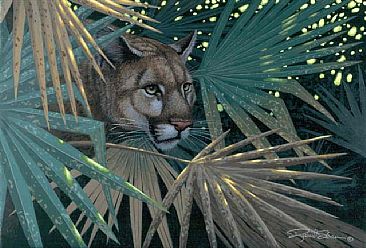 Hide and Seek - Florida Panther by Richard Sloan (1935-2007)